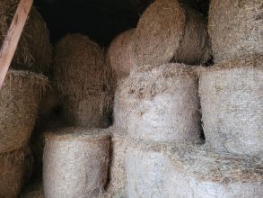 Sprzedam siano 120x120 2025r/Słoma ze stodoły