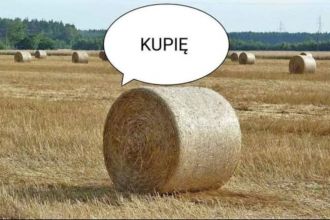 Kupię słomę