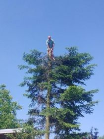Wycinki alpinistycznie drzew wnoszenie wegla eko plytek