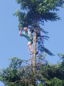 Wycinki alpinistycznie drzew wnoszenie wegla eko plytek