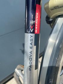 Rower elektryczny batavus