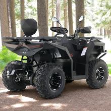 Asix Cyber 250 Qład Kład Quad duże koła wyciągarka nowy