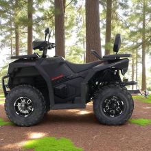 Asix Cyber 250 Qład Kład Quad duże koła wyciągarka nowy
