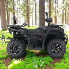 Asix Cyber 250 Qład Kład Quad duże koła wyciągarka nowy