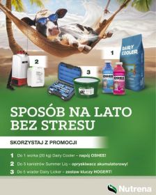 Zagrzewanie TMR