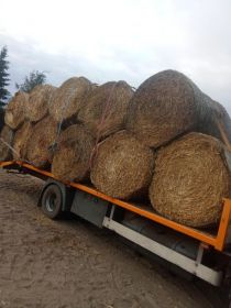 Słoma Słoma Transport Gratis