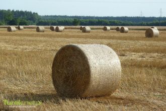 Wymienię słomę na obornik