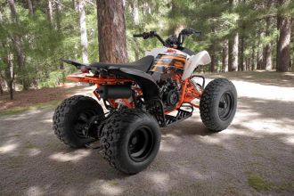 Kayo A180 | Transport Cała Polska | MOTOEAGLES |