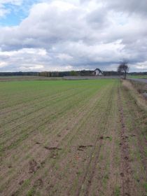 Działka budowlana Grąbków gmina Malanów