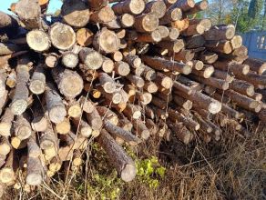 Drewno na opał