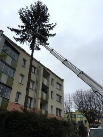 Wycinka drzew ,redukcja koron , podnośnik ,rębak