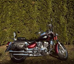 Dealim dayster 125 VL kat B