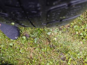 Sprzedam opony na felgach