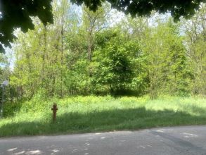 Nowa cena - działka z lasem na sprzedaż Międzylesie k....