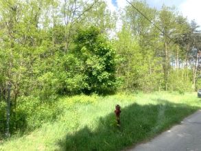 Nowa cena - działka z lasem na sprzedaż Międzylesie k....