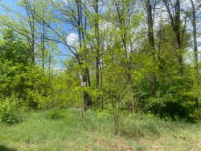 Nowa cena - działka z lasem na sprzedaż Międzylesie k....