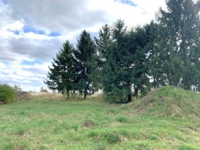 Na sprzedaż dom w stanie surowym otwartym – Skarżyn,...