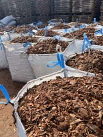 Kora sosnowa big bag/ luzem