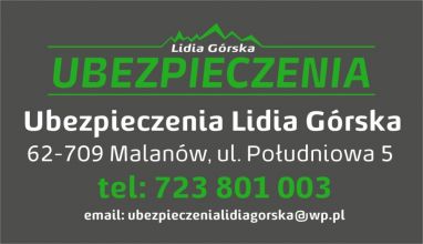 Konkurencyjna Multiagencja Ubezpieczeniowa Lidia Górska