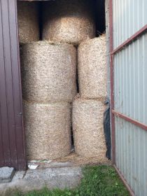 Sloma zytnia i pszenzytnia 2025