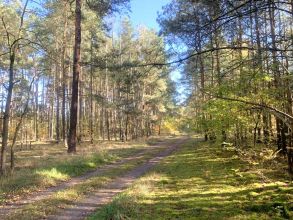Na sprzedaż Działka budowlana - Nowe Paprockie Holendry...