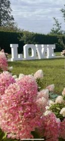 Wynajem LOVE I MIŁOŚĆ