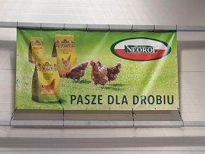 Pasze dla kur niosek