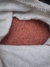 Został mi worek pszenicy zaprawionej do siewu