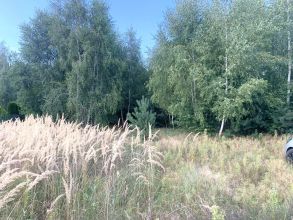 Działka budowlana Grabieniec na sprzedaż