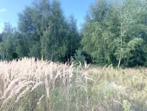 Działka budowlana Grabieniec na sprzedaż