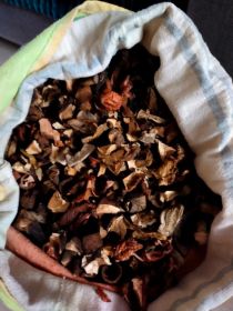 Grzyby suszone mieszane