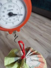 Grzyby suszone mieszane