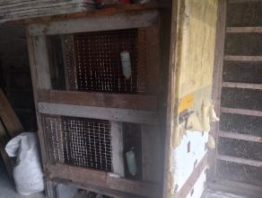 Sprzedam klatkę do królików