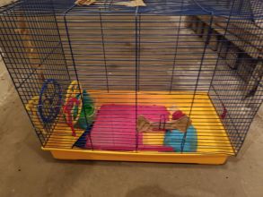 Duża klatka dla gryzoni