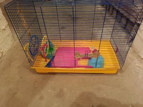 Duża klatka dla gryzoni