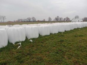 SPRZEDAM Sianokiszonka