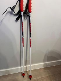 Kije narciarskie dziecięce Fizan Race Jr 95 cm.