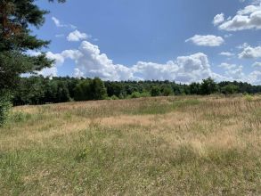 Działka budowlana na sprzedaż Albertów - w pobliżu lasu