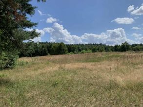 Działka budowlana na sprzedaż Albertów - w pobliżu lasu