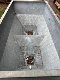 Sprzedam Rozsiewacz dwutarczowy 600 kg