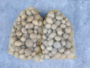 Ziemniaki Soraya Owacja