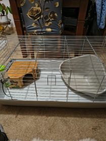 Sprzedam klatkę dla królika