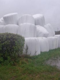 Sprzedam sianokiszonke w balach 120x120