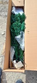 Choina 180cm