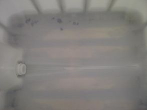 Zbiorniki 1000 Litrów, Beczki Mauzer, RSM, ON