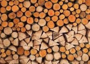 Sprzedam drzewo sezonowane