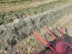 Siano sloma 2025 ze stodoły