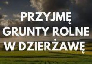 Przyjmę grunty rolne w dzierżawę (Dziadowice i okolice)