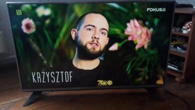 LG 43LH541V, 43 cale + uchwyt ścienny hama