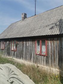 Działka 8,54 ara z drewnianym domem i budynkiem...